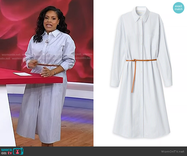 Lafayette 148 NY Aurora Stripe Shirtdress in Glacier Blue Multi worn by Sheinelle Jones on Today