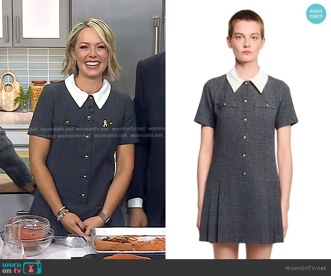 Sandro Mini Pleated Dress With Rhinestones worn by Dylan Dreyer on Today