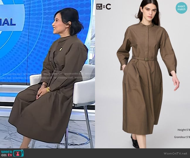 Uniqlo Cotton Volume Sleeve Dress in Brown worn by Vicky Nguyen on Today