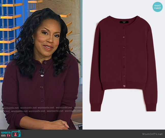 Weekend Max Mara Wool and Cashmere Cardigan in Bordeaux worn by Sheinelle Jones on Today