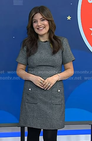 Adrianna’s grey herringbone dress on Today