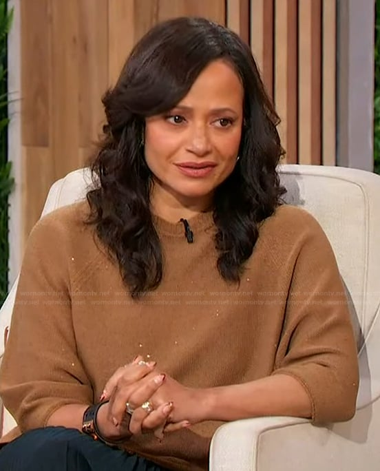Judy Reyes’ brown sequin sweater on Sherri