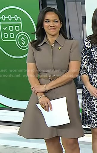 Laura’s brown collared short sleeve dress on Today