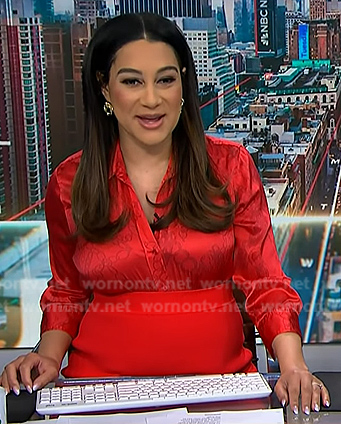 Morgan’s red chain print satin shirt on NBC News Daily