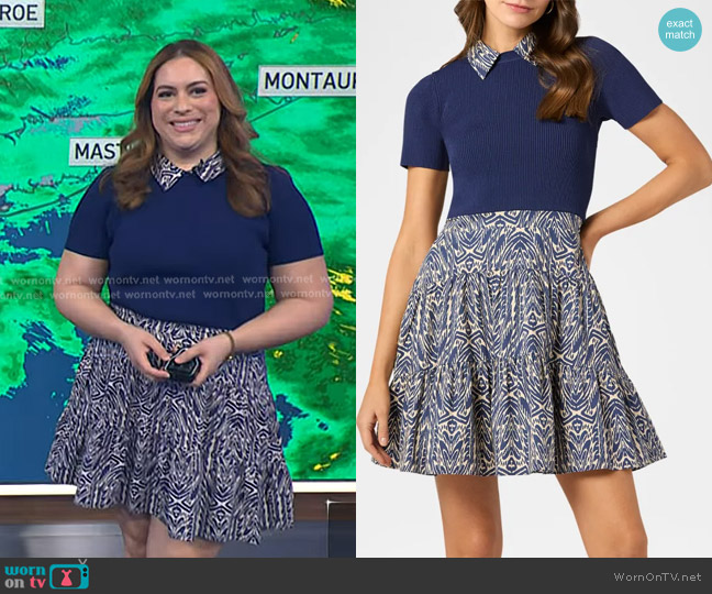 Shoshanna Lena Tiered Mixed Media Mini Dress worn by Violeta Yas on NBC News Daily