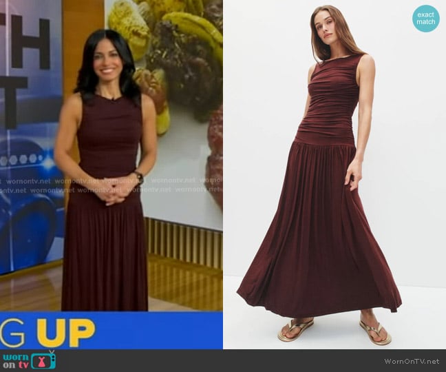 Summer Away Patmos Dress in Dark Walnut worn by Dr. Tara Narula on Good Morning America