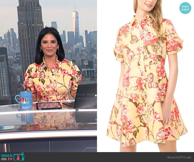 Ted Baker Stina Floral Print Linen Shirtdress in Creamed Corn worn by Darlene Rodriguez on Today