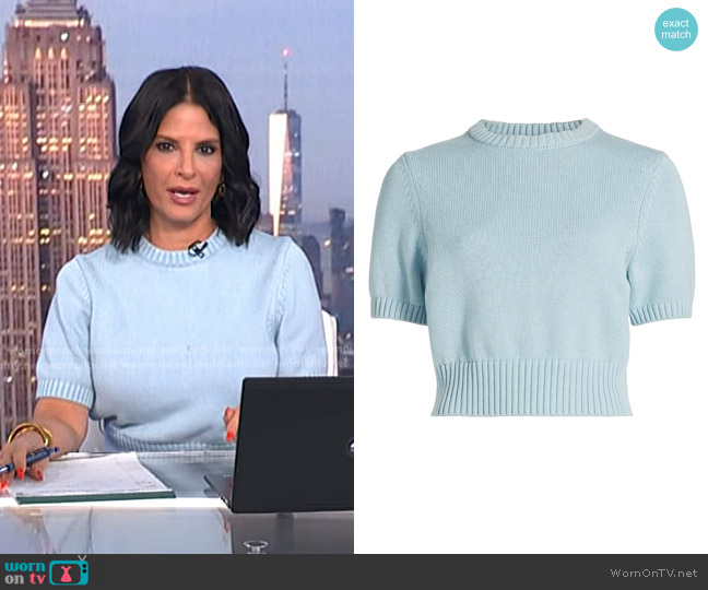Toccin Elsie Cotton Crop Sweater in Light Blue worn by Darlene Rodriguez on Today