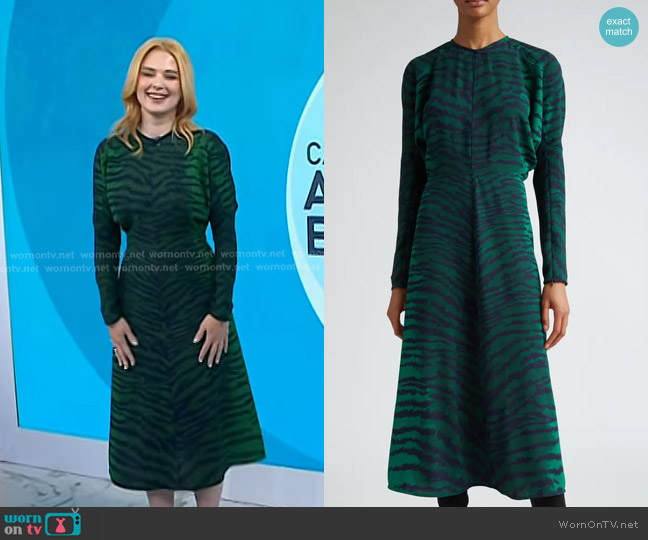 Victoria Beckham Tiger Print Long Sleeve Midi Dress worn by Alexandra Breckenridge on Today