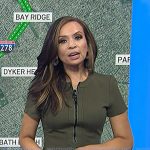 Adelle’s green zip front dress on Today