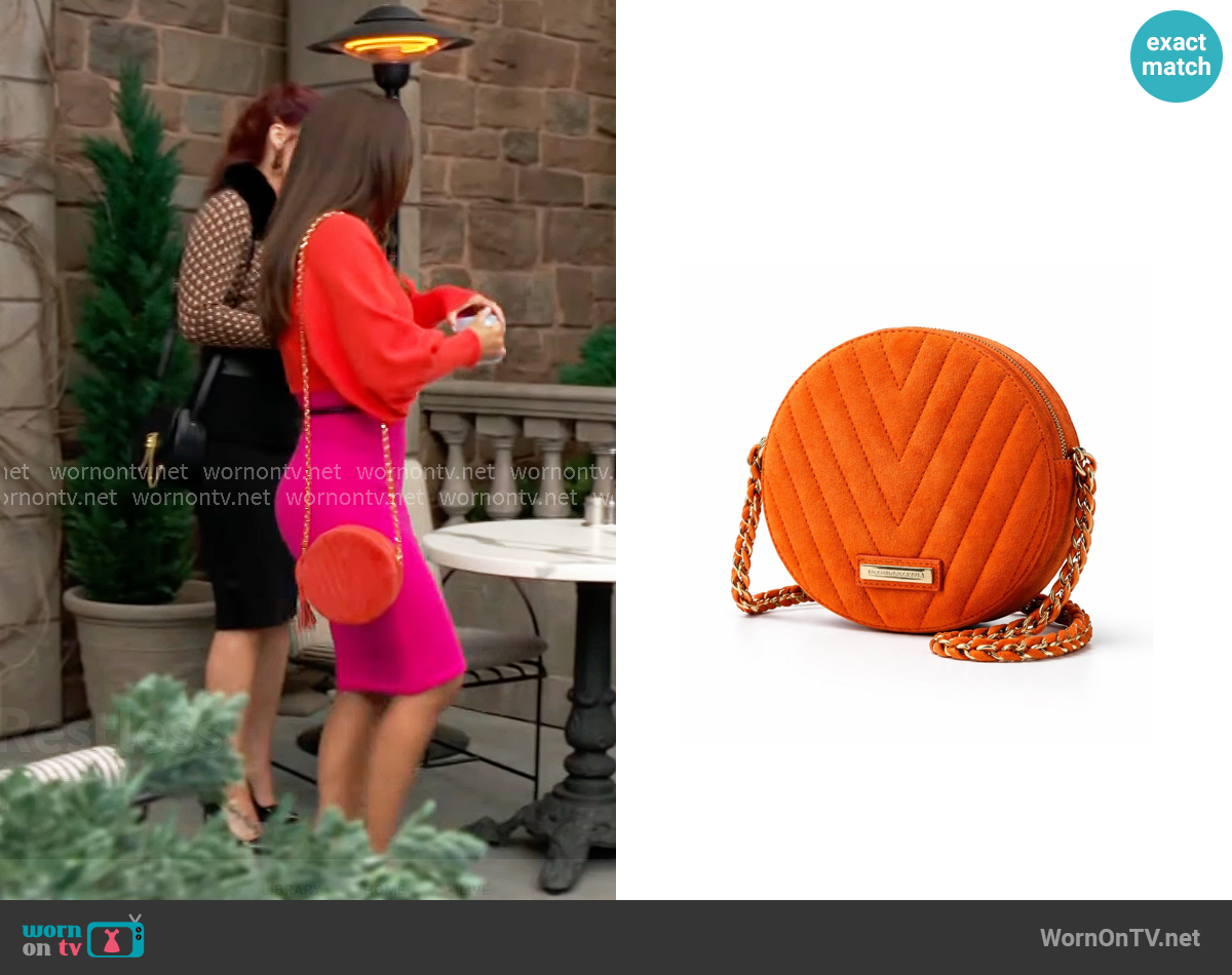 Bcbgmaxazria Chantal Bag worn by Audra Charles (Zuleyka Silver) on The Young and the Restless