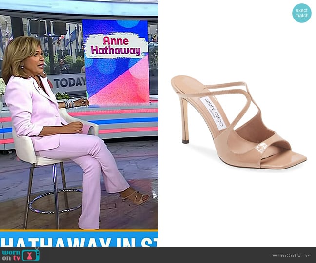 Jimmy Choo Anise Strappy Sandal in Ballet Pink worn by Hoda Kotb on Today