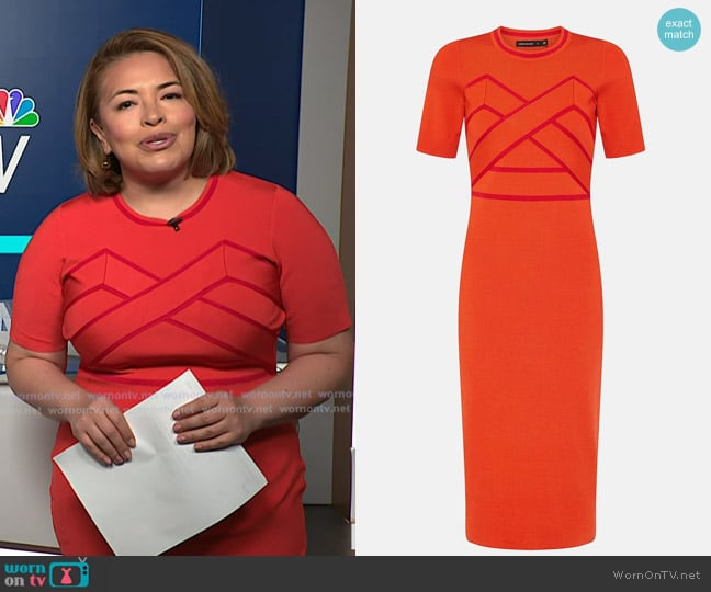 Karen Millen Striped Bandage Dress worn by Gilma Avalos on NBC News Daily