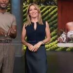 Kit’s navy vest and satin skirt on Access Hollywood