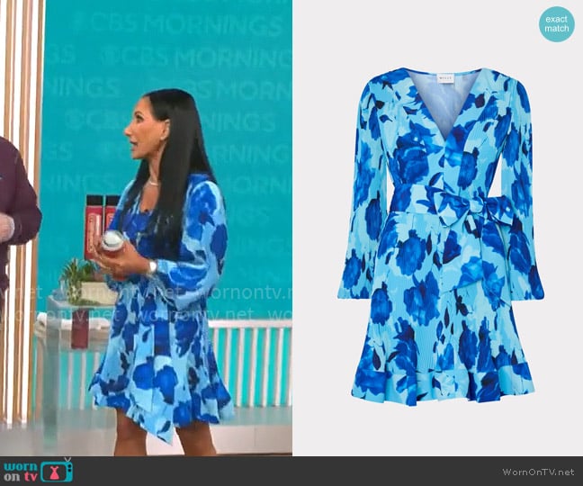 Milly Liv Blurred Blossom Pleated Dress worn by Elizabeth Werner on CBS Mornings