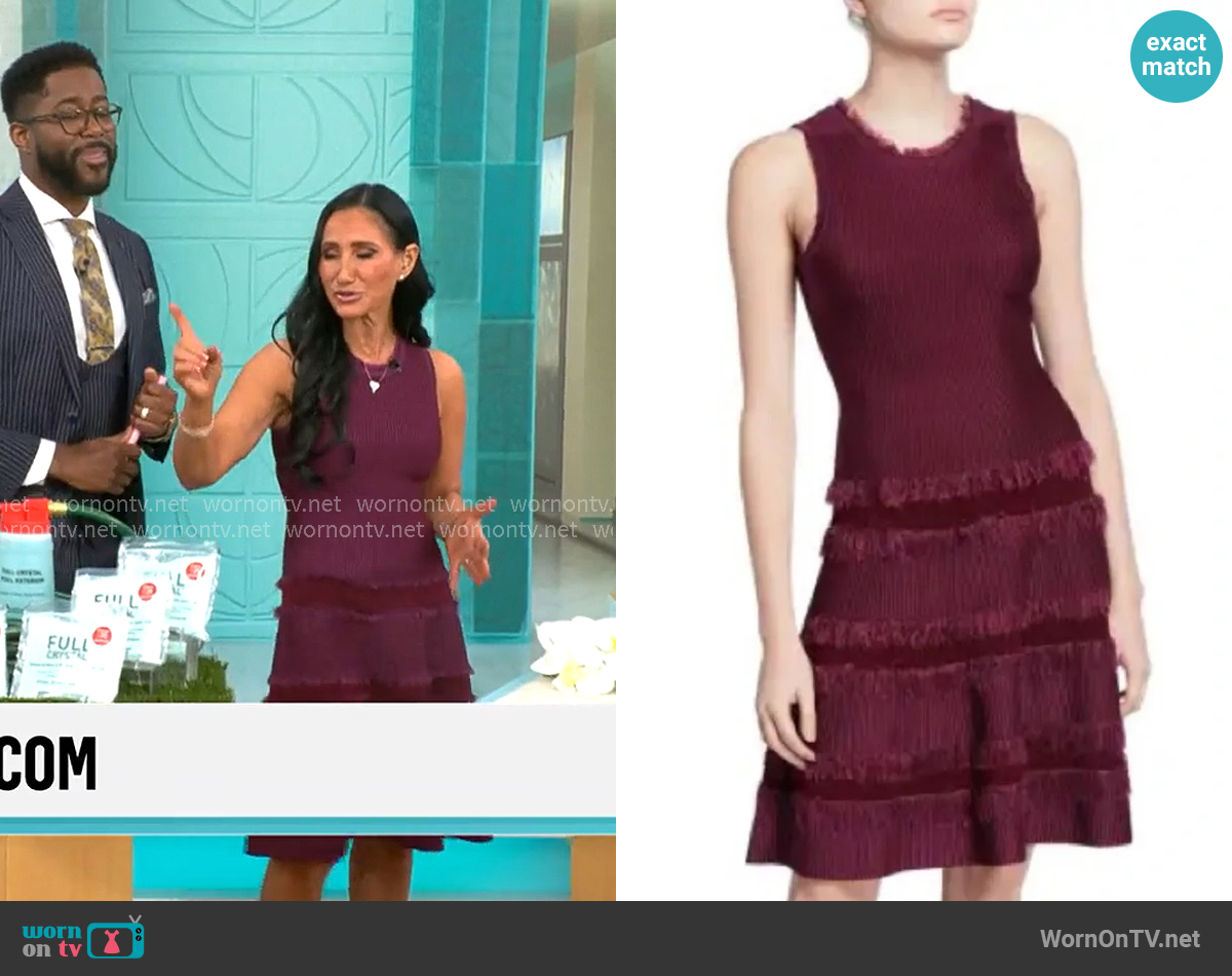 Milly Sleeveless Fringe-Trim Fit & Flow Dress worn by Elizabeth Werner on CBS Mornings