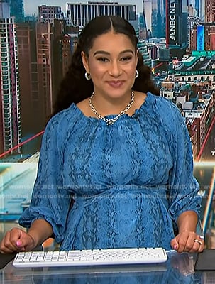 Morgan’s blue snake print dress on NBC News Daily