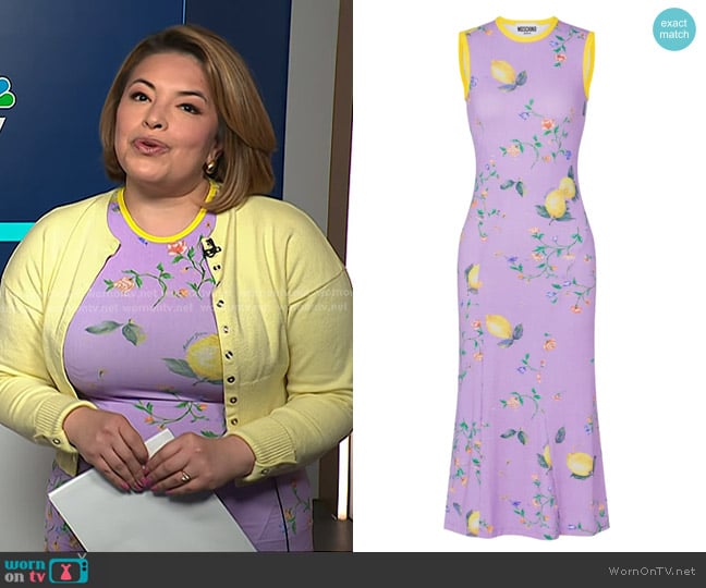 Moschino Floral-print Sleeveless Midi Dress worn by Gilma Avalos on NBC News Daily
