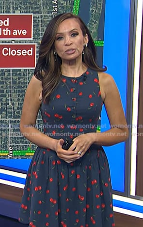 Adelle’s navy cherry print dress on Today