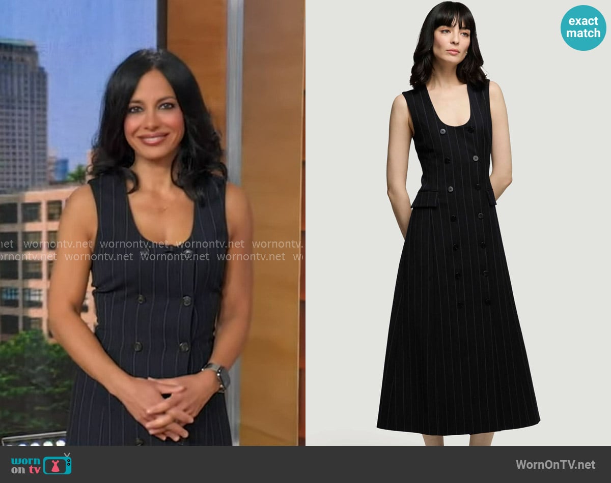 Argent Scoop Neck Double-Breasted Dress worn by Dr. Tara Narula on Good Morning America