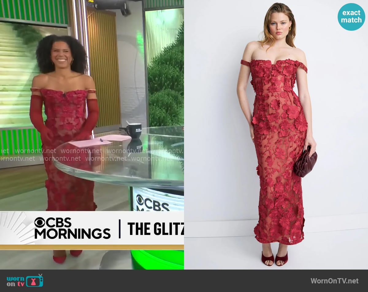Bronx and Banco Jasmine Maxi Dress worn by Adriana Diaz on CBS Mornings