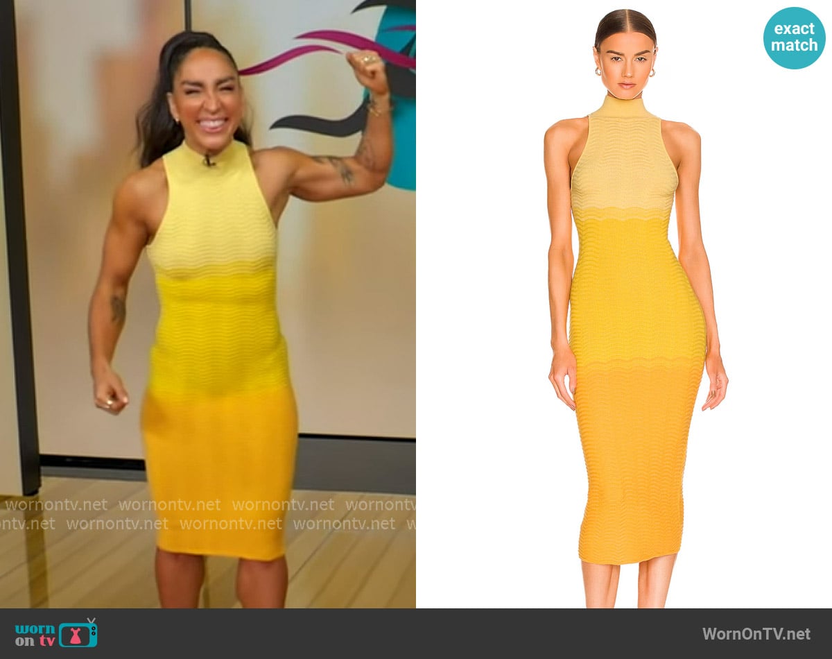 Camila Coelho Cressida Dress worn by Robin Arzon on Good Morning America