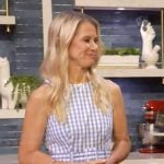 Dr Wendy Bazilian’s blue gingham check belted dress on Live with Kelly and Mark