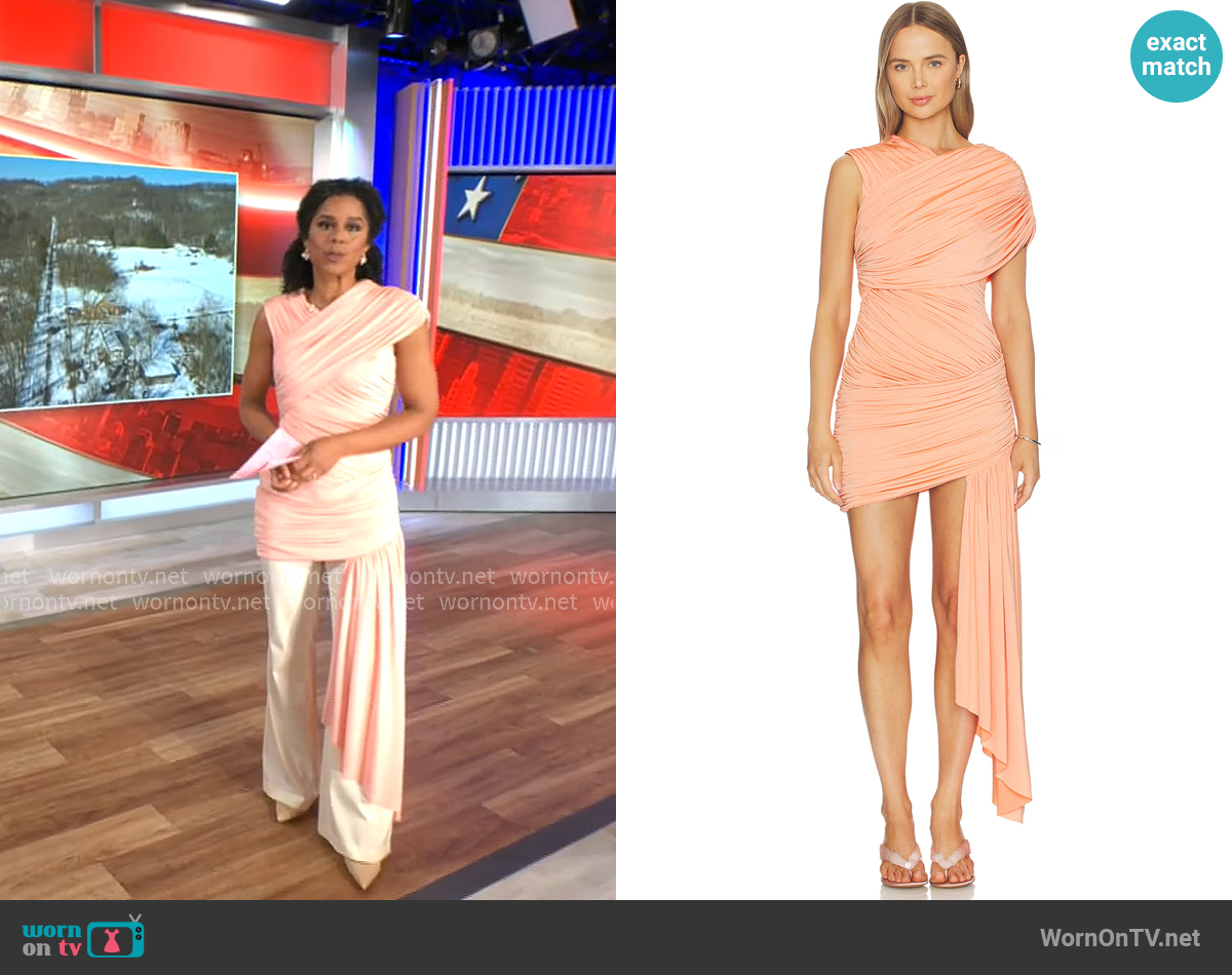 Et Ochs Fleur Dress worn by Adriana Diaz on CBS Mornings