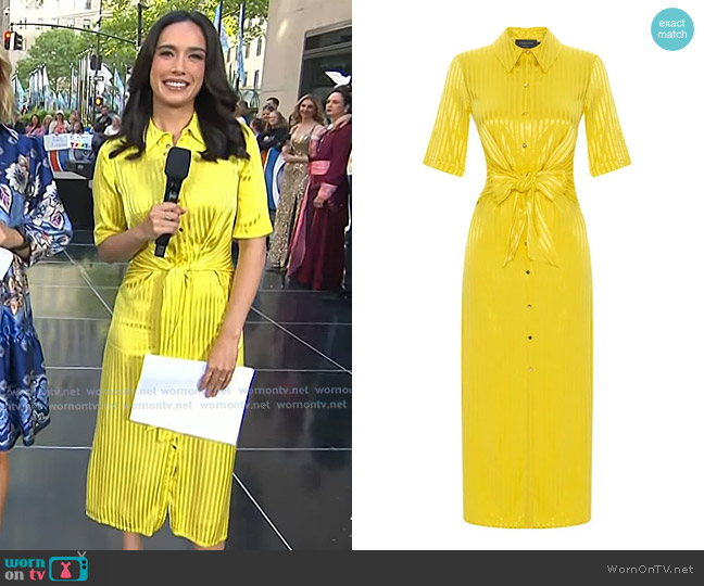 Exquise Tie Waist Stripe Dress worn by Emilie Ikeda on Today