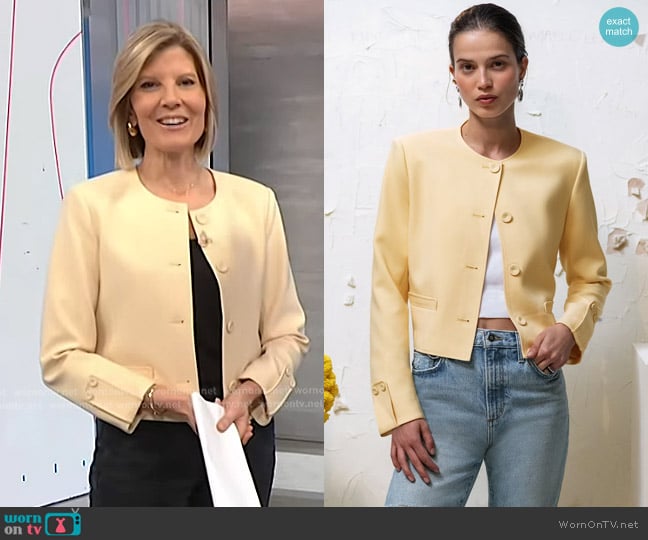 Favorite Daughter The Aurora Jacket in Blondie worn by Kate Snow on NBC News Daily