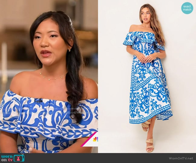Flying Tomato Bloom Serenade Blue Woven Midi Dress worn by Taylor Shennett on Today