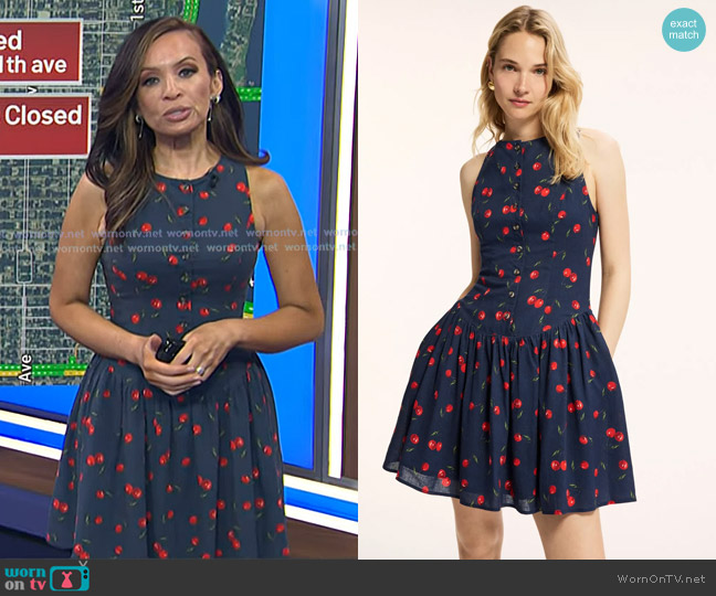 Hutch Roma Dress worn by Adelle Caballero on Today