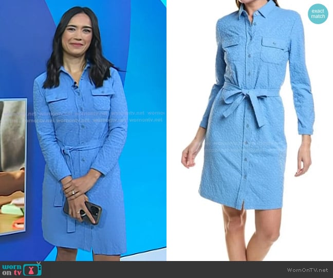 J. McLaughlin Leopard Print Haarlem Dress in Bay Blue worn by Emilie Ikeda on Today