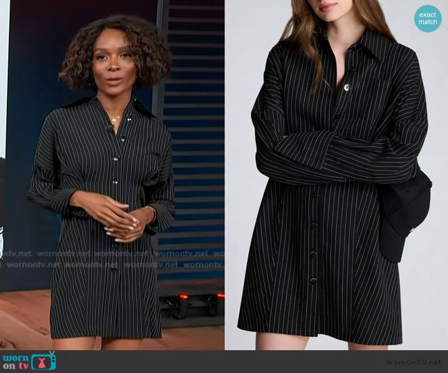 Kenneth Cole Pinstripe Long Sleeve Shirtdress worn by Zuri Hall on Access Hollywood