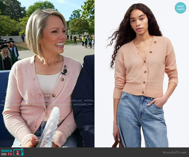 Madewell Alpaca-Blend V-Neck Cardigan in heather pale blush worn by Dylan Dreyer on Today
