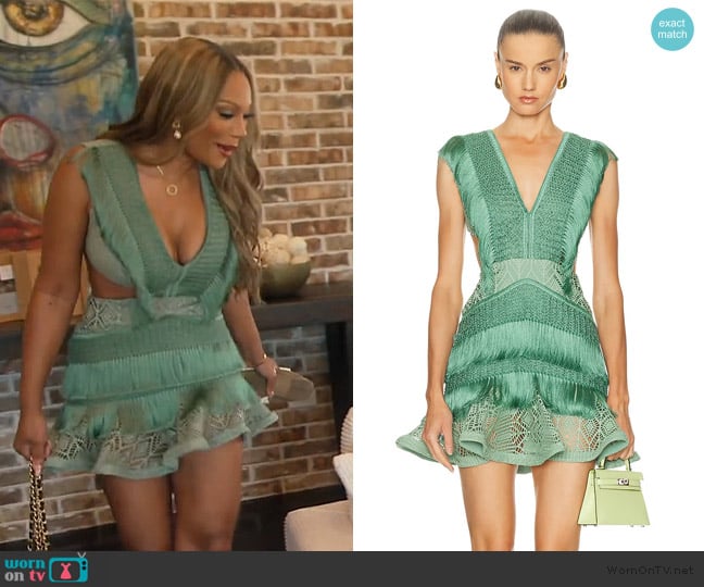 Patbo Samba Fringe Cut Out Mini Dress worn by Angela Oakley on The Real Housewives of Atlanta