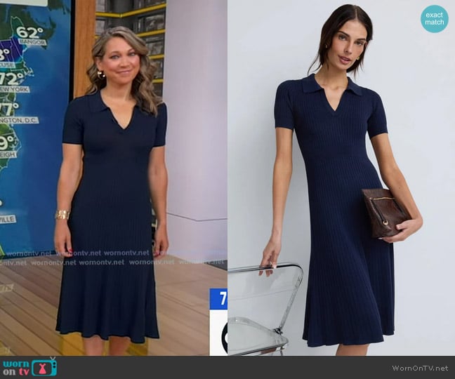 Pietro Brunelli Milano Azalea Dress worn by Ginger Zee on Good Morning America