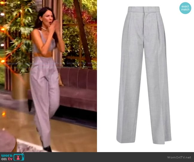 Sa Su Phi Grey Bogard Pleated Trousers worn by Eiza González on The View