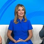 Savannah’s blue belted shirtdress on Today