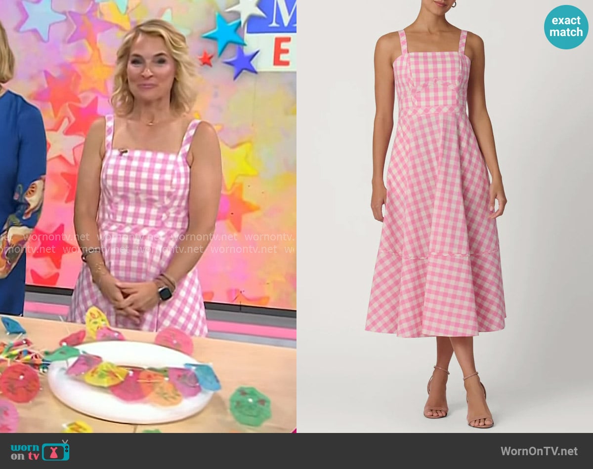 Meaghan Murphy’s pink gingham sleeveless dress on Today Meaghan Murphy’s pink gingham sleeveless dress on Today