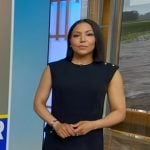 Stephanie's navy mini dress on Good Morning America