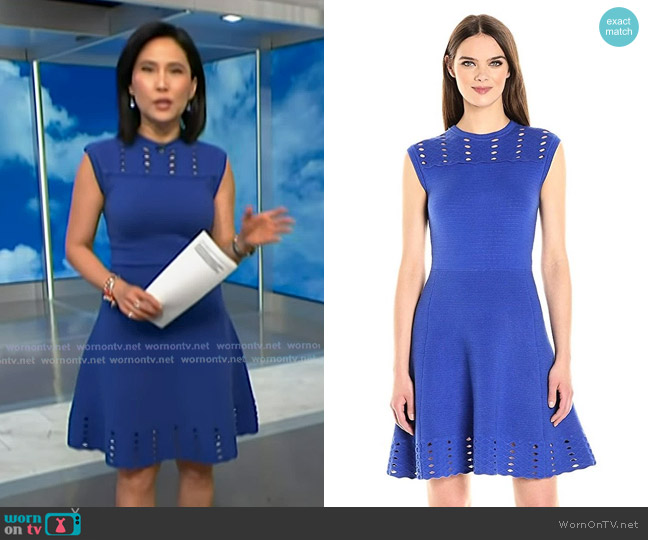 Ted Baker Zaralie Jacquard Panel Skater Dress worn by Vicky Nguyen on NBC News Daily