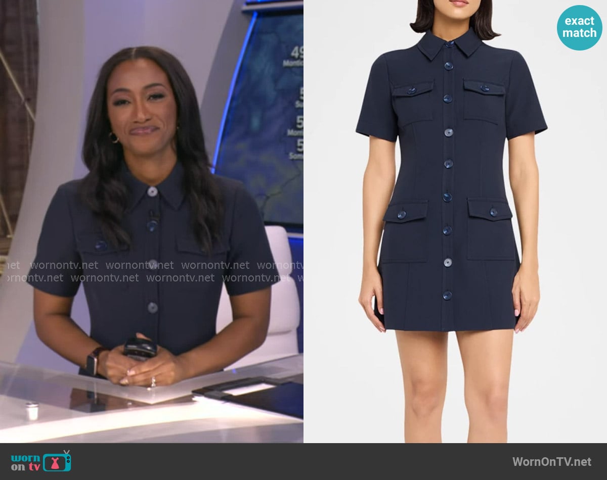 Toccin Lydia Short-Sleeve Mini Dress worn by Brittany Bell on Good Morning America
