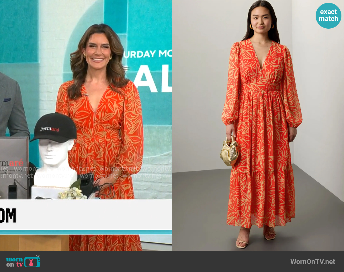 Toccin V-Neck Printed Maxi Dress worn by Adriane Kiss on CBS Mornings