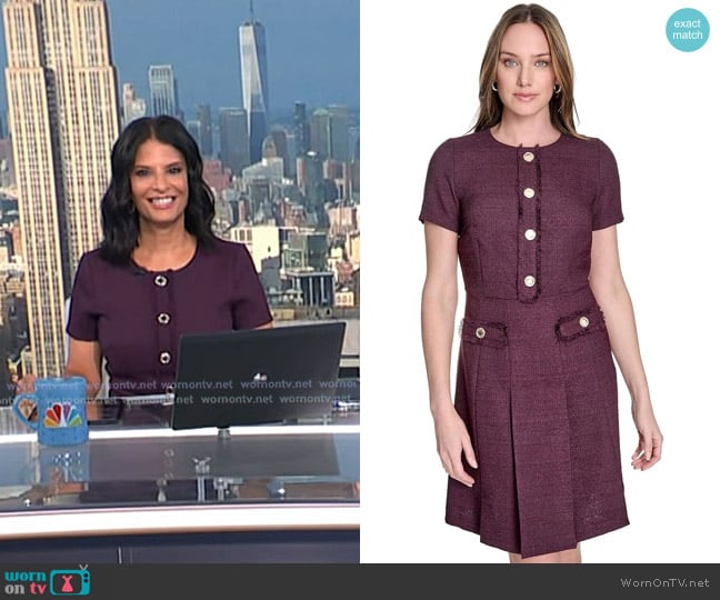 Tommy Hilfiger Boucle Short Sleeve Button Front A-line Dress in Aubergine worn by Darlene Rodriguez on Today