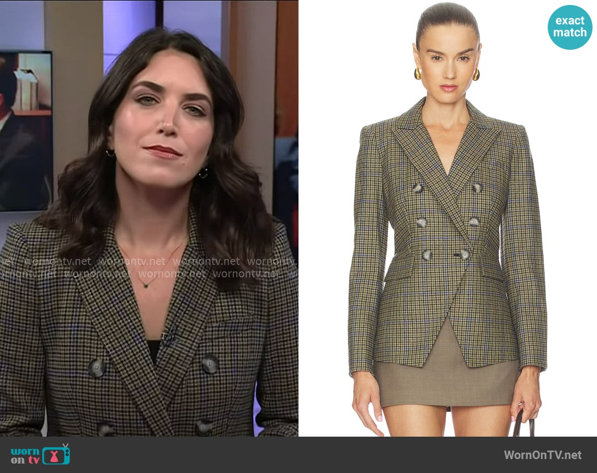 Veronica Beard Miller Dickey Jacket in Moss Multi worn by Liz Kreutz on Today