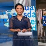 Vicky's blue organza maxi dress on NBC News Daily
