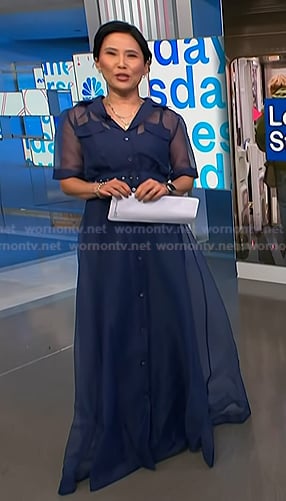 Vicky’s blue organza maxi dress on NBC News Daily