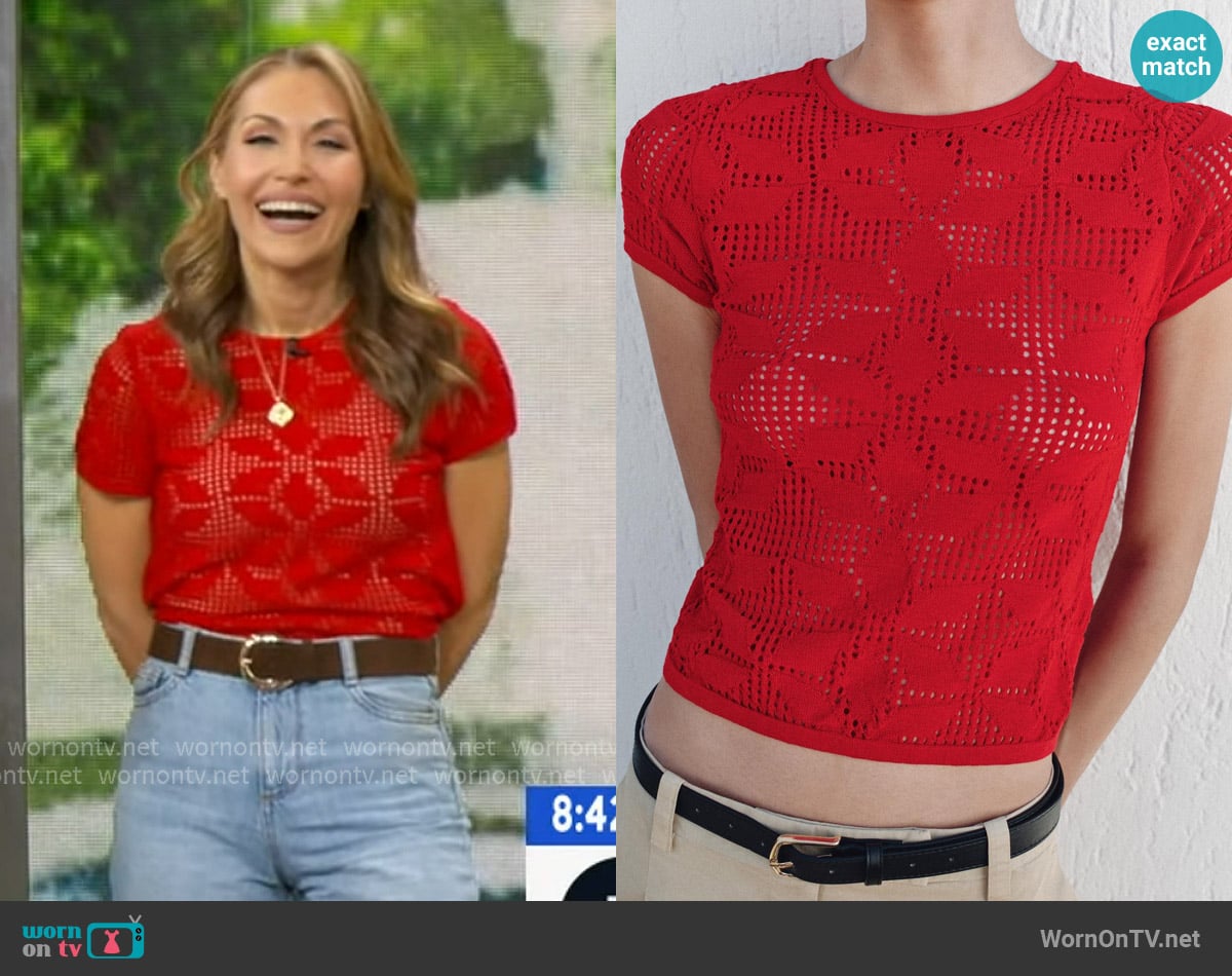 Zara Textured Knit Top worn by Lori Bergamotto on Good Morning America