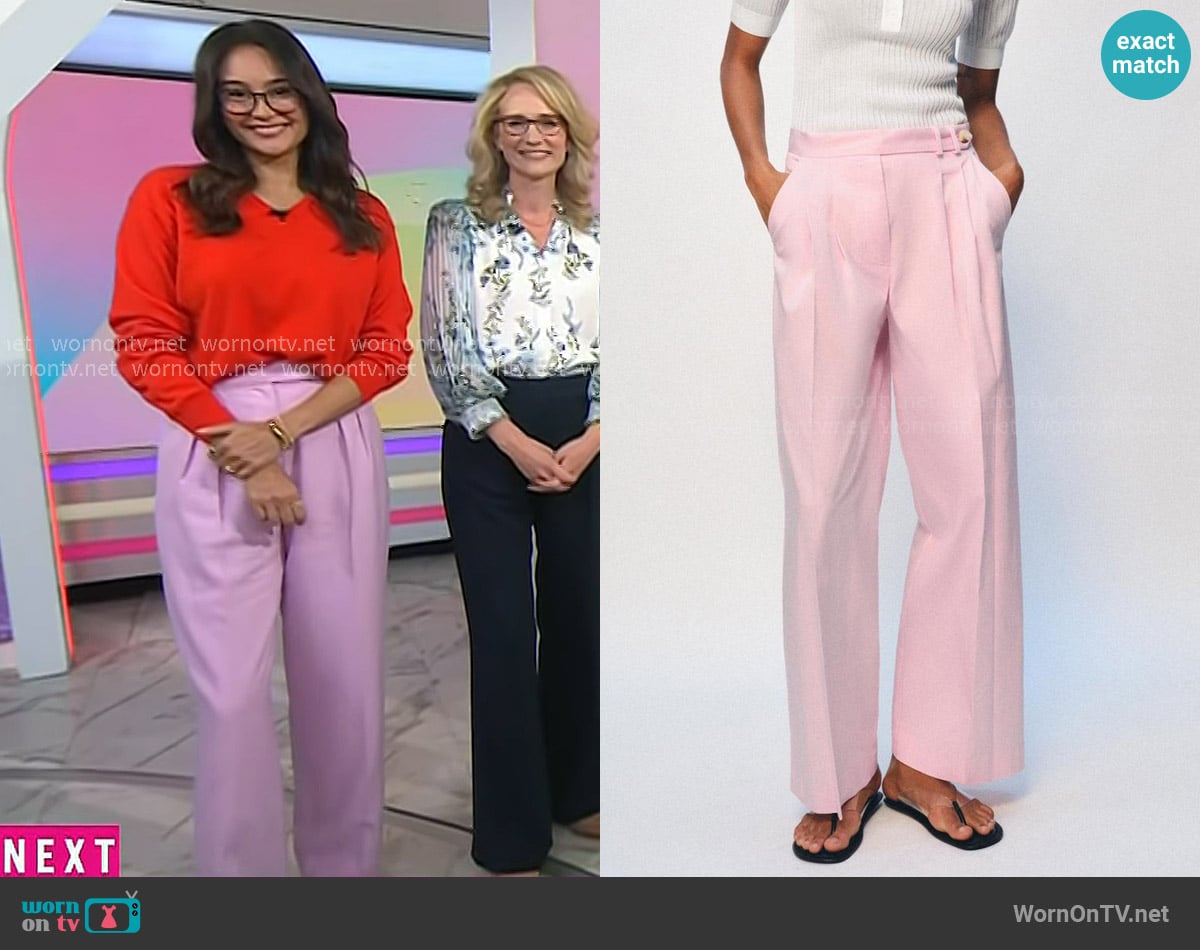 Emma Heming Willis’s pink pleated pants on Today Emma Heming Willis’s pink pleated pants on Today